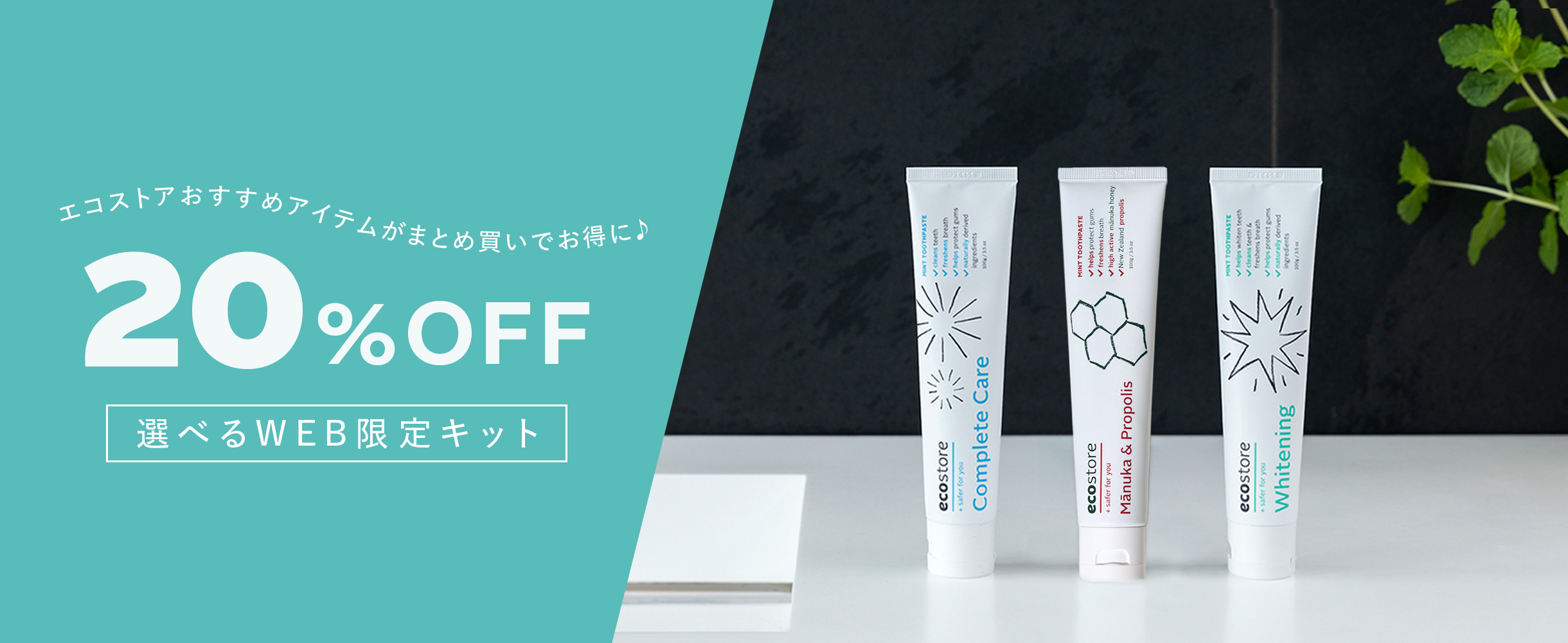 20%OFF 選べるWEB限定キット