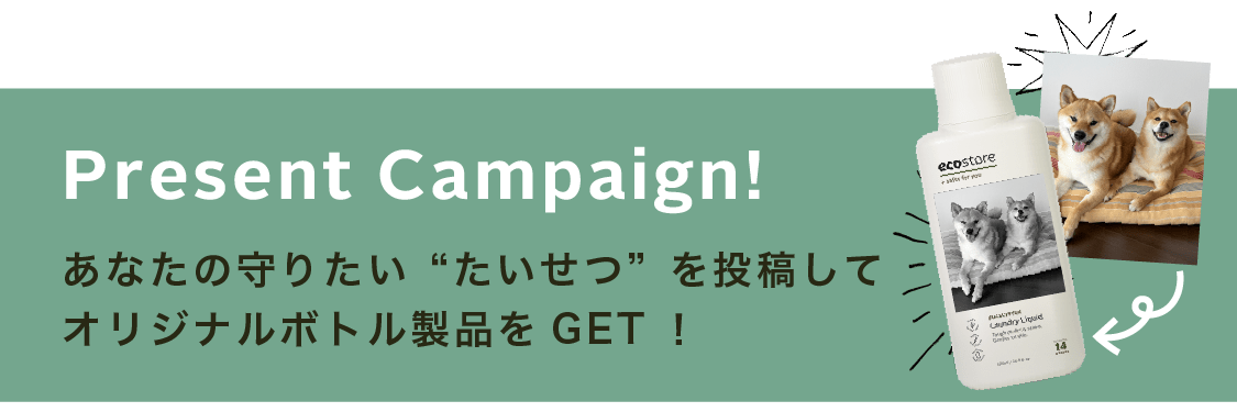 Present Campaign